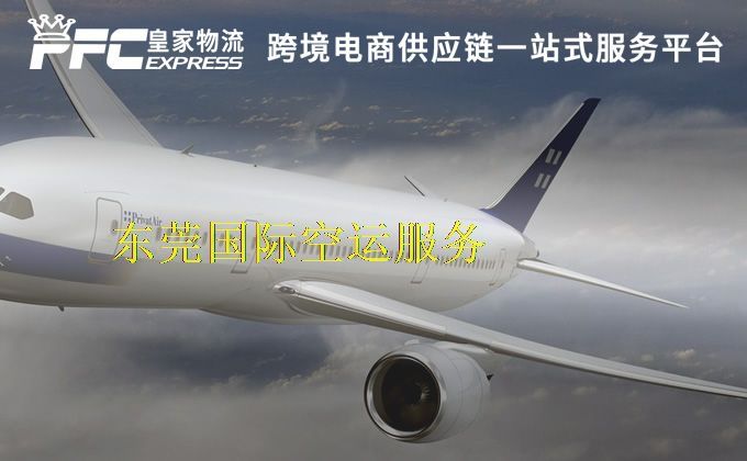 東莞國際空運服務(wù)